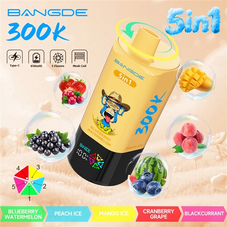 BANG DE 300k 5in1 Puffs Vape