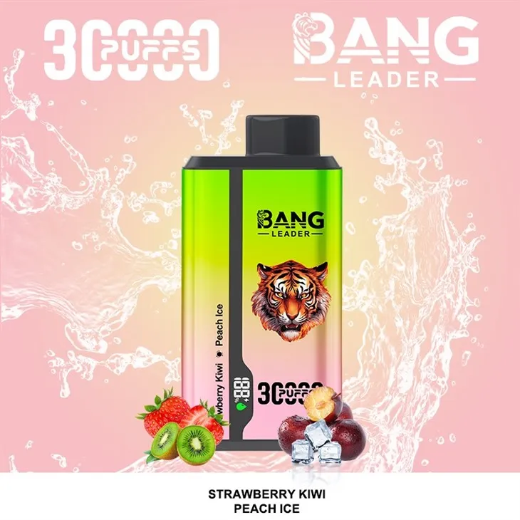 Bang Leader 30K Dual Flavors Disposable Vape