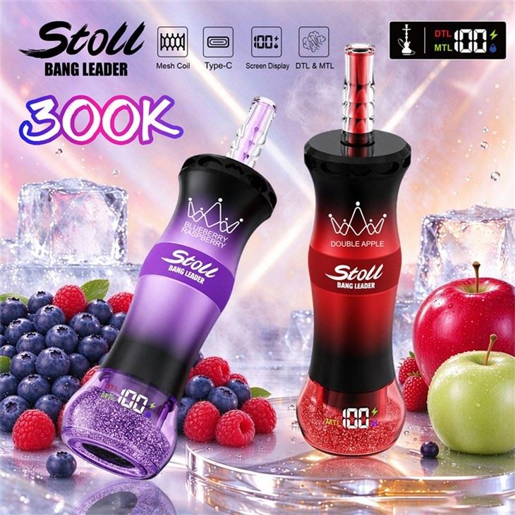 Bang Leader Shisha 300K Puffs factory